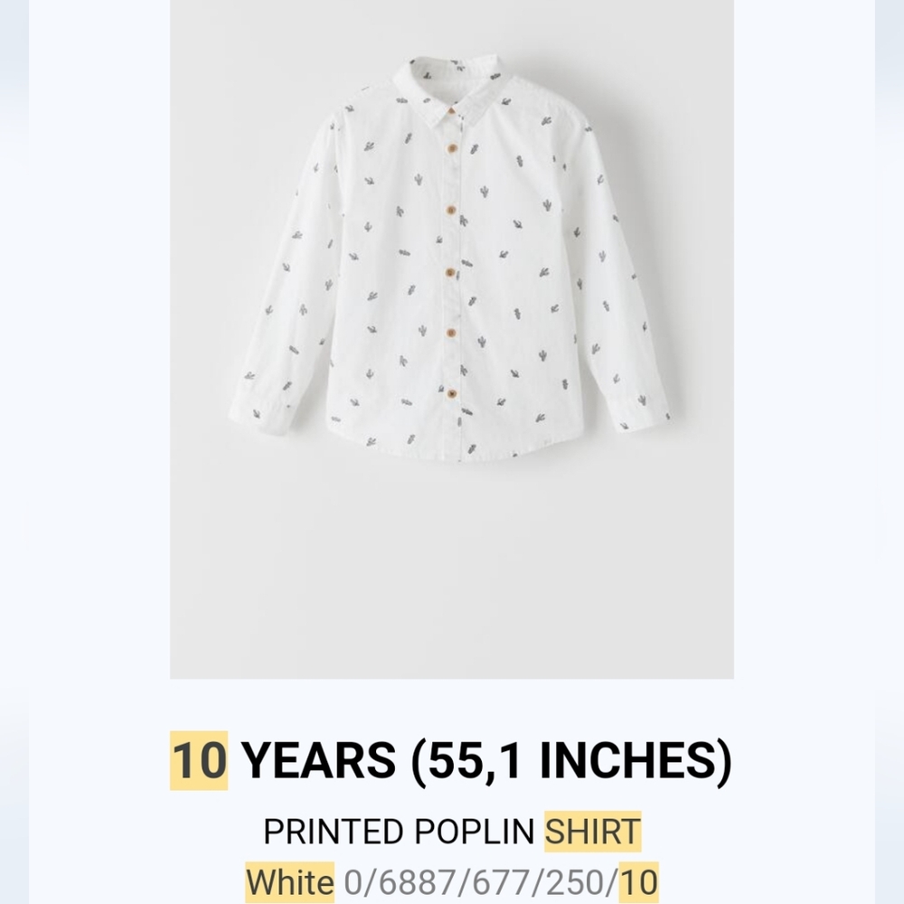 Zara white poplin shirt 🌵 cactus print size 10